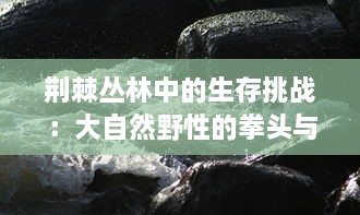 荆棘丛林中的生存挑战：大自然野性的拳头与肉体的殊死肉搏 v8.4.8下载